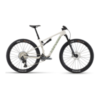 Preview: Cervélo ZFS-5 RETAILER
