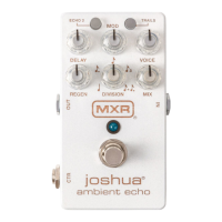 Preview: mxr Joshua Ambient Echo