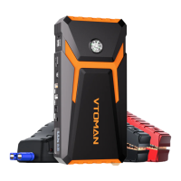 Preview: VTOMAN V8 Pro
