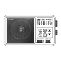 Preview: Raddy RF206