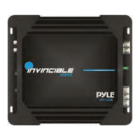 Preview: Pyle Invincible Series