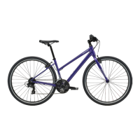 Preview: Cannondale Quick
