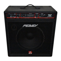Preview: Peavey TNT 115