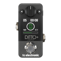 Preview: TC Electronic DITTO+ LOOPER