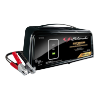 Preview: Schumacher Electric FR01236