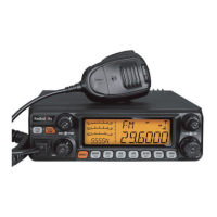 Preview: Radioddity QT60