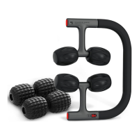 Preview: Sharper Image FLEX ROLLER