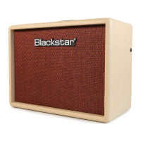 Preview: Blackstar Debut 15E