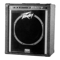 Preview: Peavey TKO 115