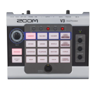 Preview: Zoom V3