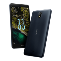 Preview: Nokia C100