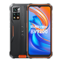 Preview: Blackview BV9200