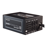 Preview: Dark Power Pro 11 1200W