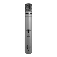 Preview: AKG C1000S