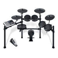 Preview: Alesis DM10