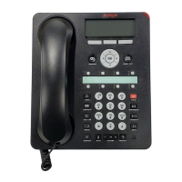 Preview: Avaya 1608