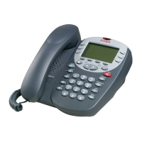 Preview: Avaya 2410