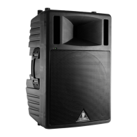 Preview: Behringer B300