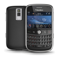 Preview: Blackberry Bold 9000