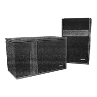Preview: Bose 301