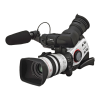 Preview: Canon XL2