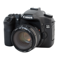 Preview: Canon EOS 40D