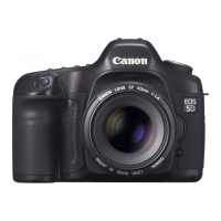 Preview: Canon EOS-5D