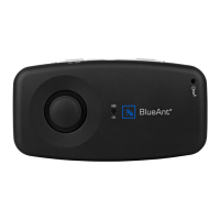 Preview: Blueant S1