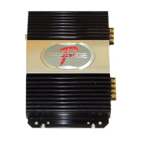 Preview: Audiovox Prestige PAB-250R