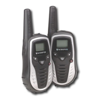 Preview: Audiovox GMRS6000-2PK
