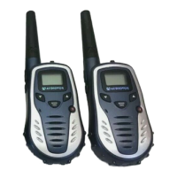 Preview: Audiovox GMRS602CH