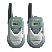 Preview: Audiovox GMRS7001-2CH