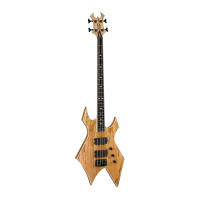 Preview: B.C. Rich ASM