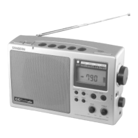 Preview: C. Crane CCRadio plus