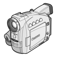 Preview: Canon MV600i