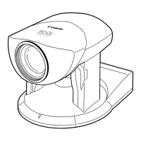 Preview: Canon VC-C4