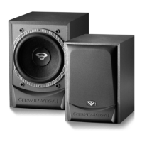 Preview: Cerwin-Vega V-10S