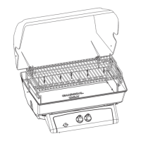 Preview: Char-Broil LP Gas Grill