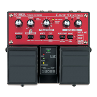 Preview: Boss RC-20XL