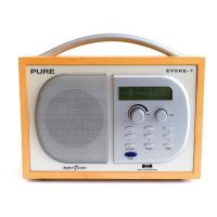 Preview: Pure Digital Elgar EVOKE-1