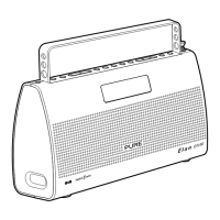 Preview: Pure Digital Elan DX40