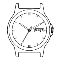 Preview: Citizen E100