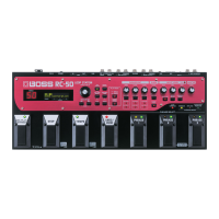 Preview: Boss RC-50