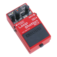 Preview: Boss RC-2