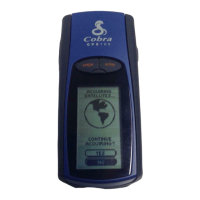 Preview: Cobra GPS 100