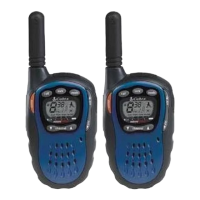 Preview: Cobra microTALK MT 725