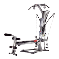 Preview: Bowflex Blaze