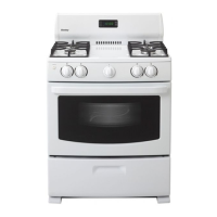 Preview: Danby DR3099BLGLP