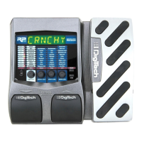 Preview: DigiTech RP250