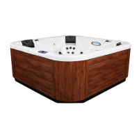 Preview: Dimension One Spas Chairman II